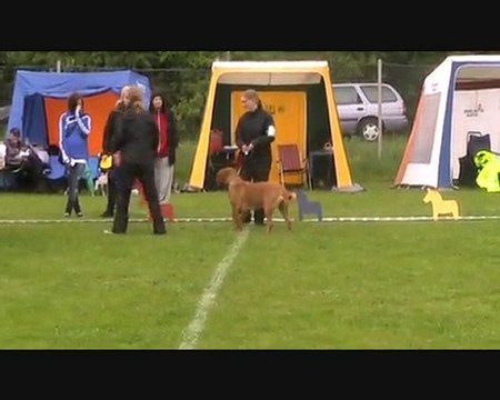 Svensk Vinnar 2010 / Swedish Winner 2010