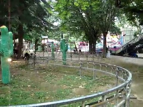 FETE CASTRES JUIN 2010