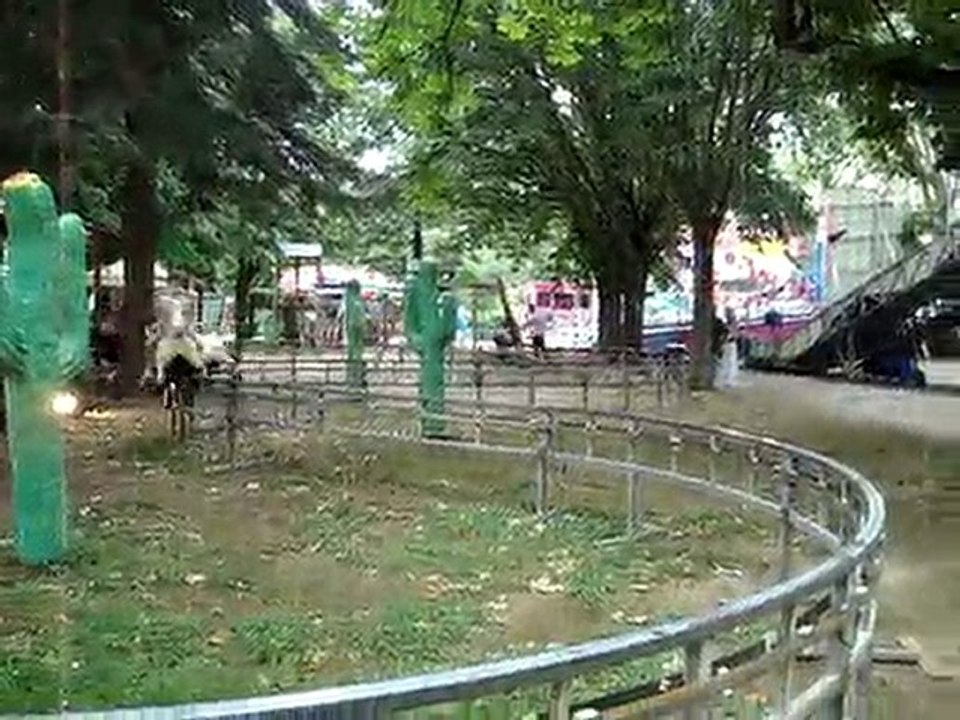 FETE CASTRES JUIN 2010