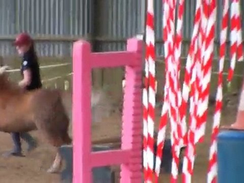 Fructis Equifeel à Marcoussis - Juin 2010 - Les embûches.