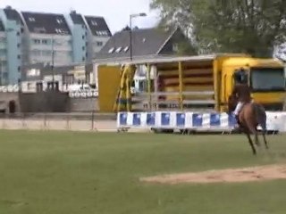 Rune d Aven CL5ans1 Lanester Herbe 14 05 1