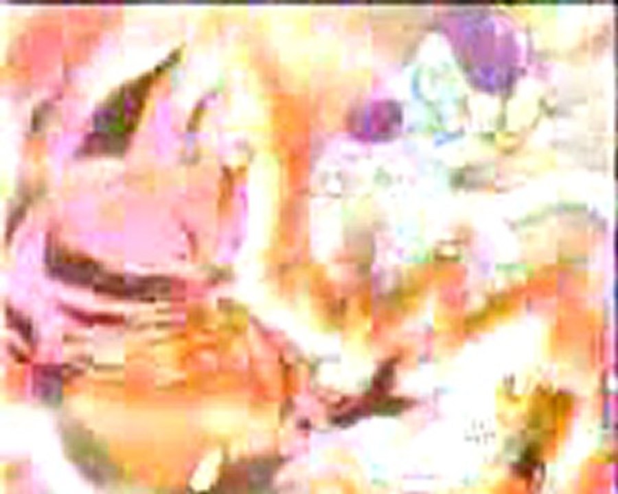 3G Spirit of the saiyajin part1