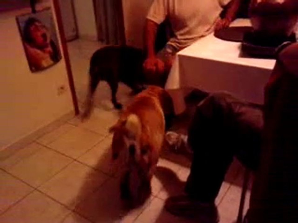 Tara&vialto