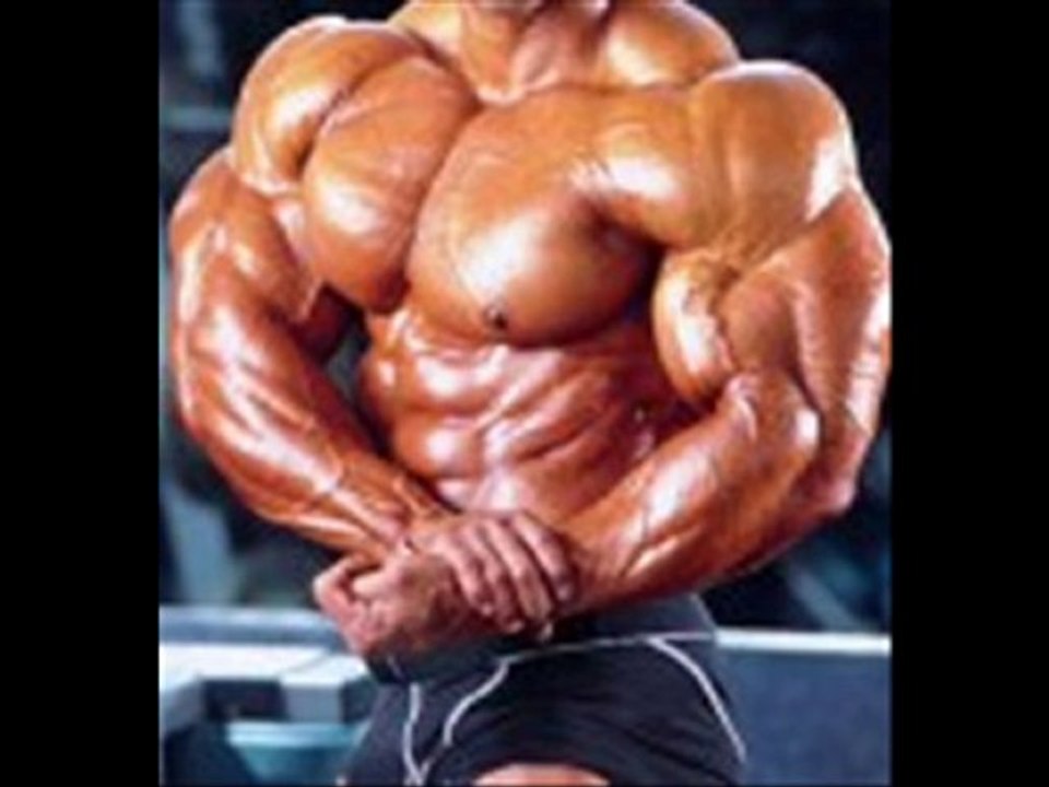 la vie d'aventurier d'Indiana Jones