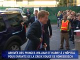 Les Princes William et Harry en Afrique du Sud