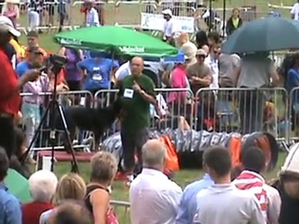 VALIA AGILITY M3 3D ANNONAY 2010