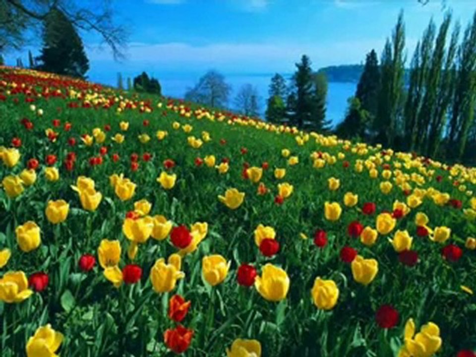 Country Bulgaria City Varna