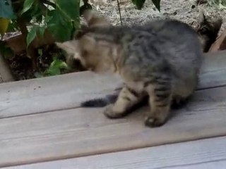 OMG they are so cute!!!