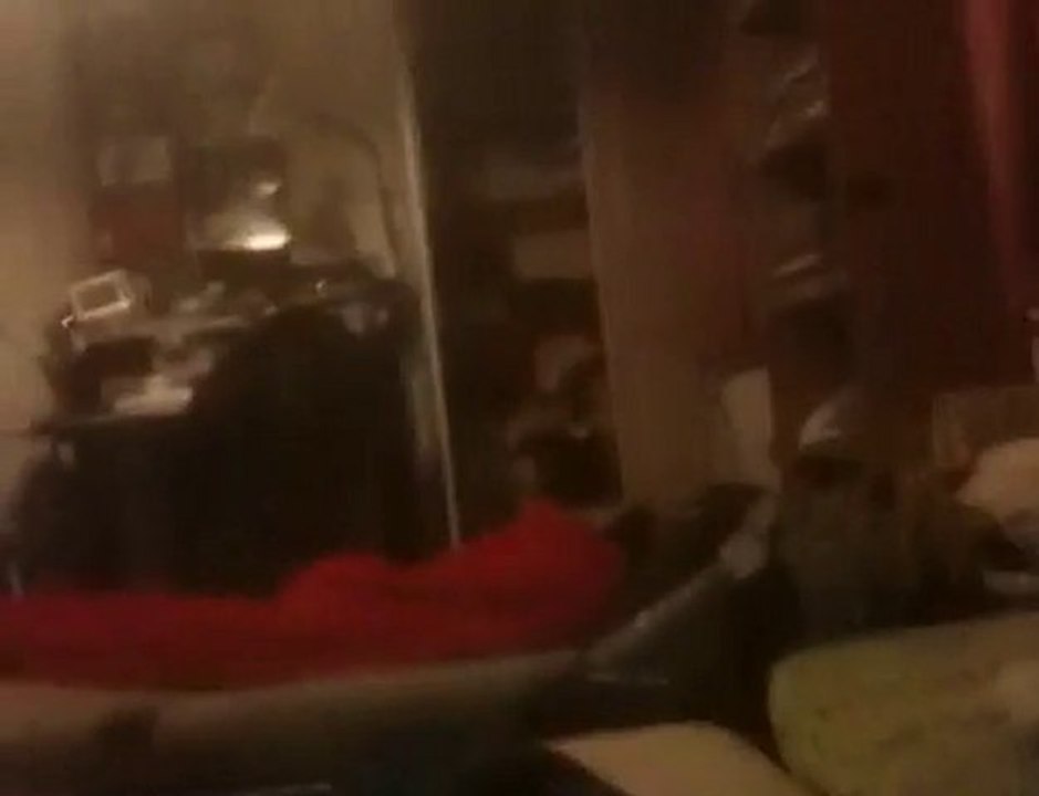 Niaks and Alcool Effect (Fevrier, Mars, Avril 2010)