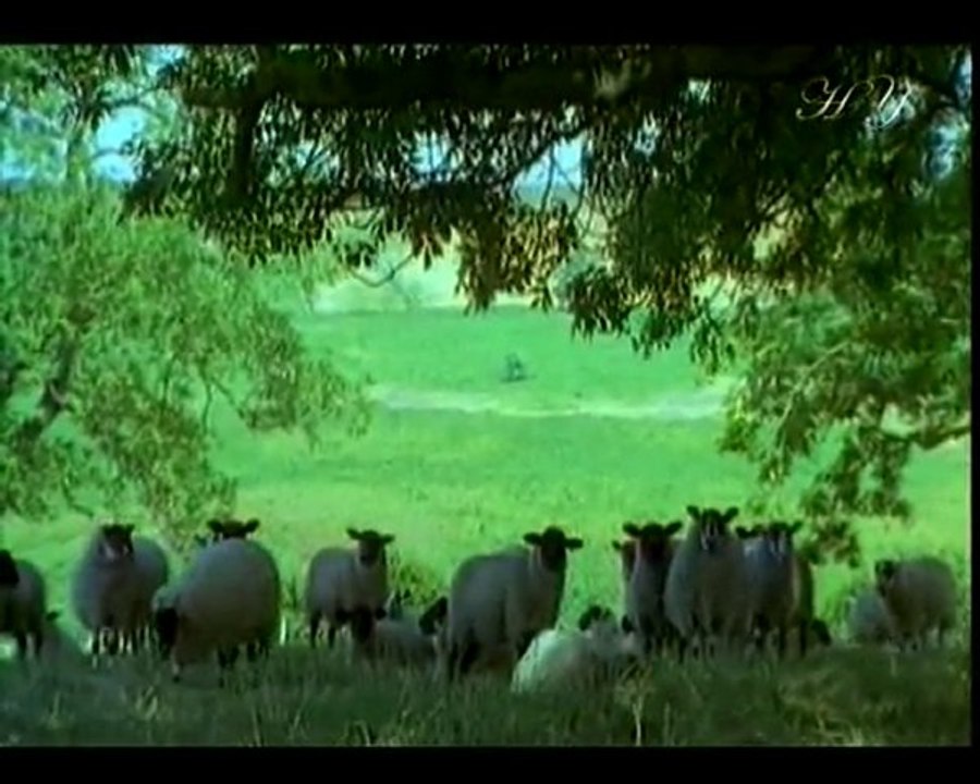 LES MIRACLES DU CORAN IV - 2/2