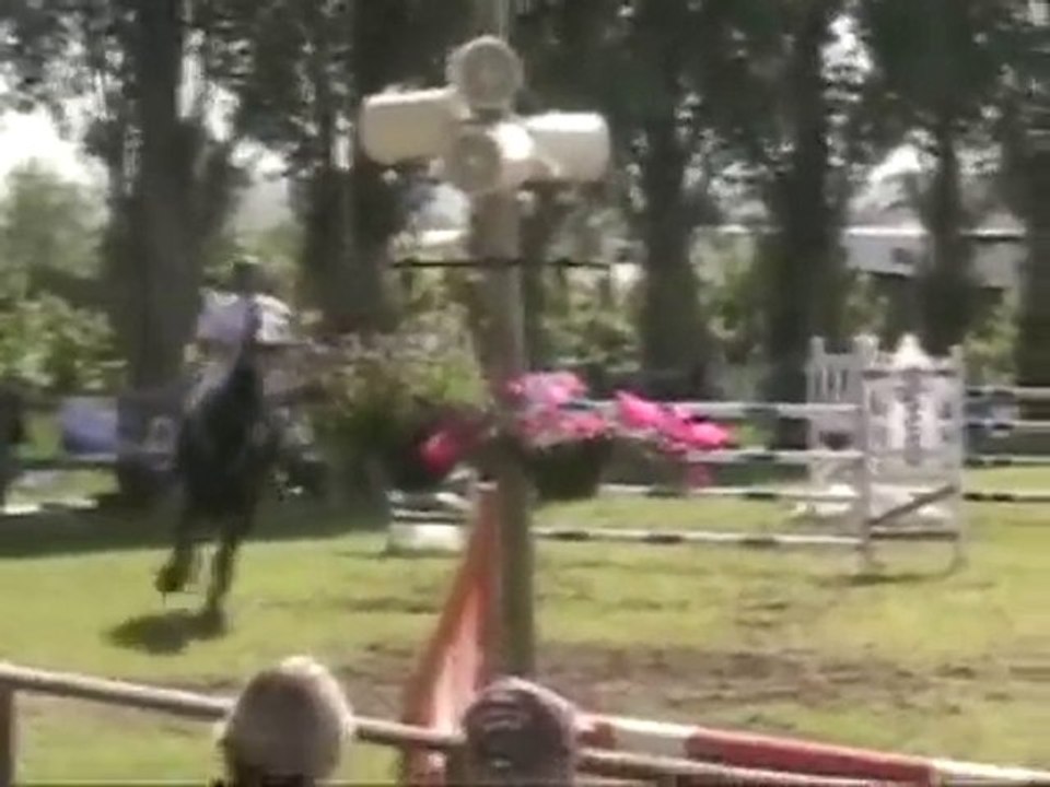 Palawane de Sully Notre dame d'estrées GP 1,35 Mai 2010