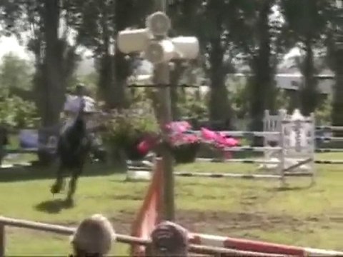 Palawane de Sully Notre dame d'estrées GP 1,35 Mai 2010