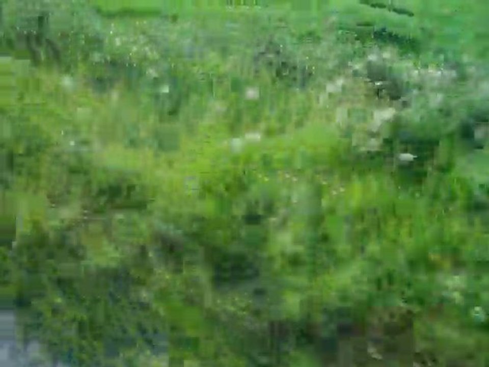 vélo