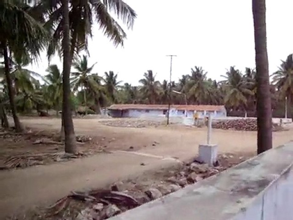 MOV00547land