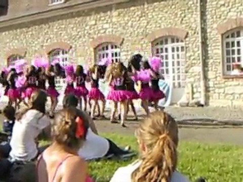 Pompoms INA Festiv'agro