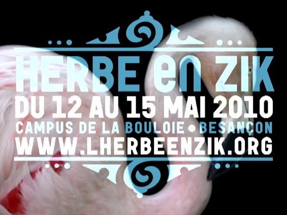 Report  Herbenzik 2010 by stefbloch