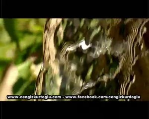 Dönmeyecek - Cengiz Kurtoğlu