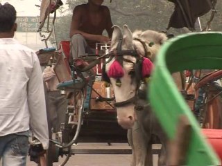 Delhi's 'tongas' forced to ride into the sunset