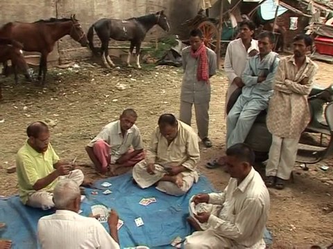 Les calèches de Delhi menacées d'interdiction