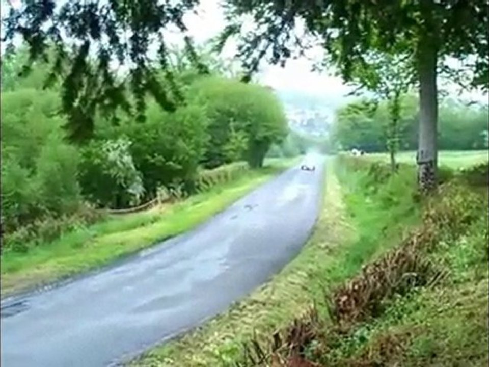 course de cote de la celle 2010