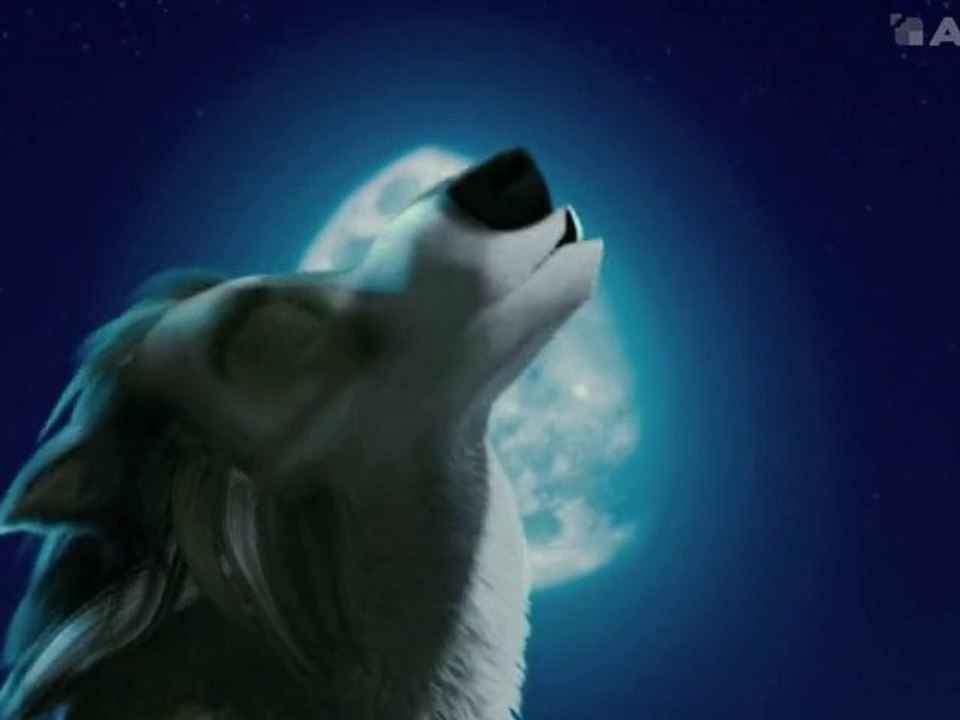 ALPHA ET OMEGA : Bande-annonce [HD-VO]