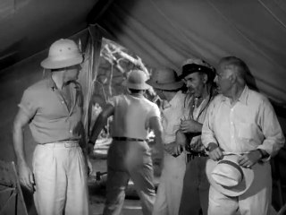 Close call - Extrait Close call (Anglais)