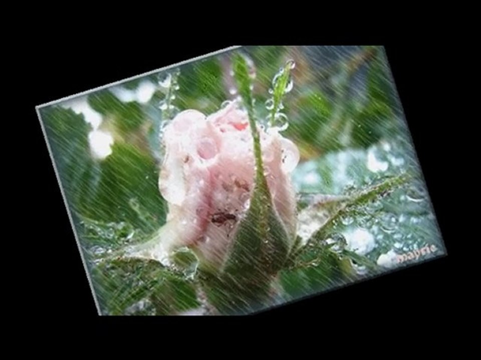 Mika                 Rain