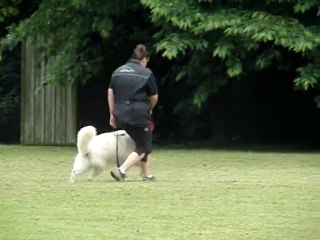 week-end 12 13 juin 2010