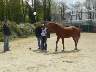 endurance a guimiliau le 3 mai 2009 002