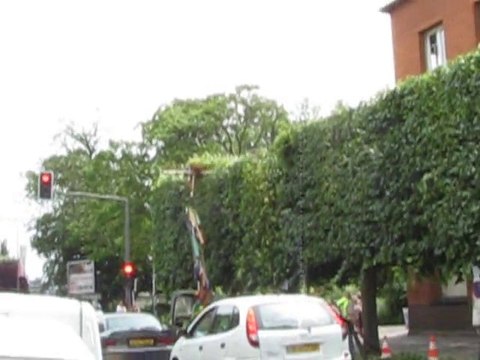 Beauvais : élagage d'arbres av. de la République 14/6/2010