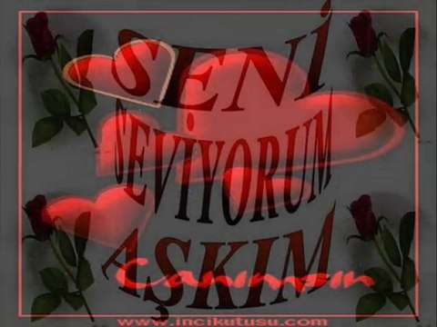 Ebru Gündeş Senin Olmaya Geldim