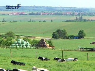 "Du côté d'Ici" à Truchtersheim (12/06/2010)