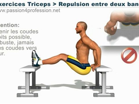 Reverse dips, triceps