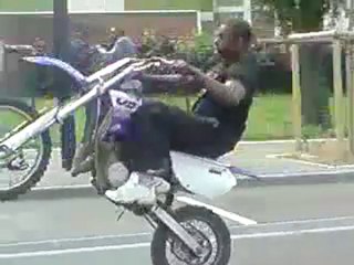 MORDACS ZOO EN MODE VENER KRKRKRK