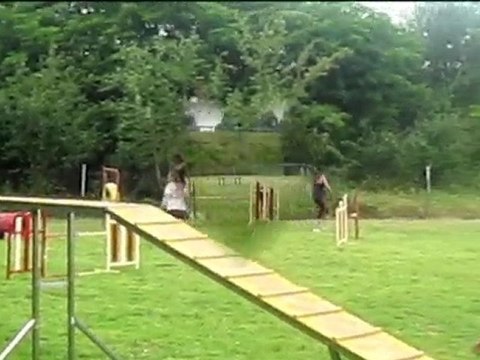 Agility entrainement