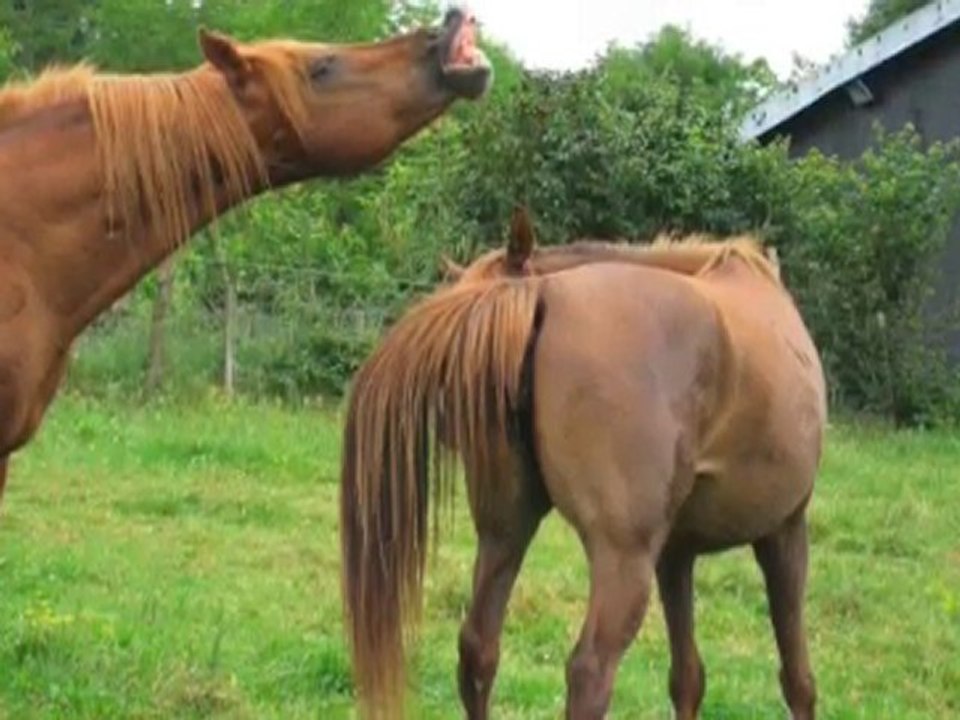 Piloute&Safar 13/O6/2O1O