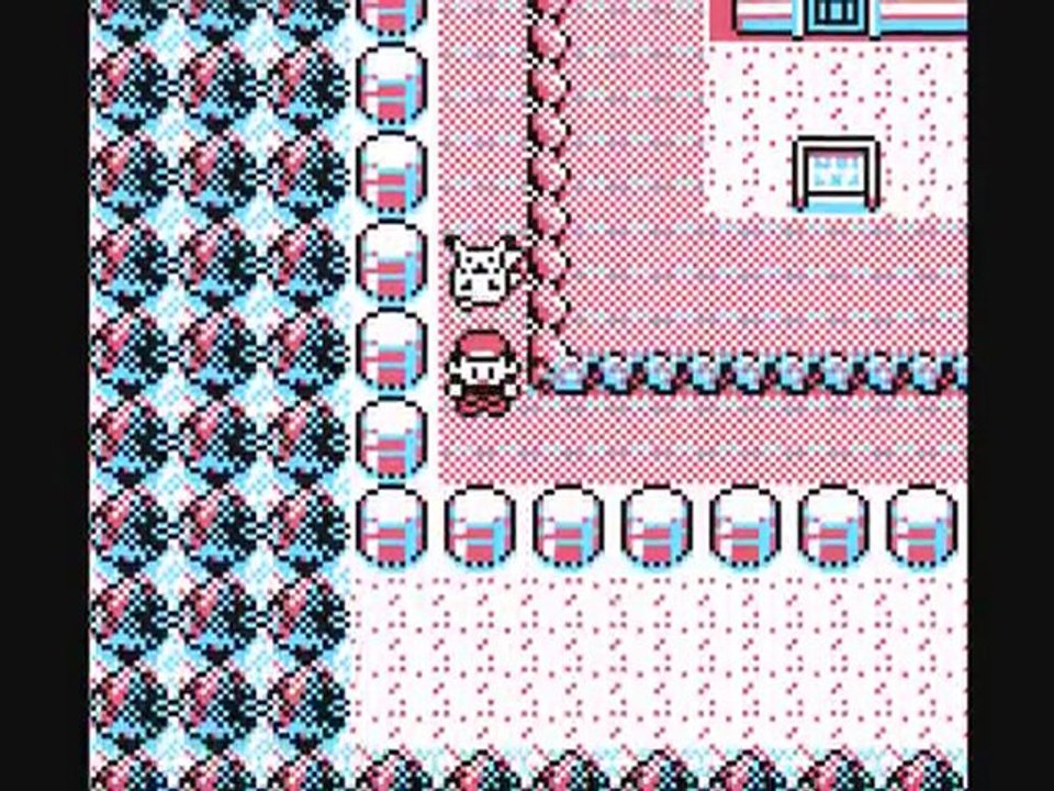 Pokémon jaune 19) Piste cyclable
