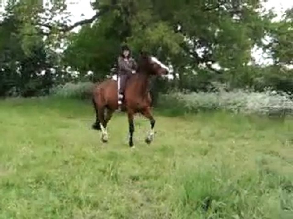 Mon Pango!