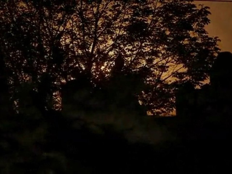 Surviving The Night trailer 2