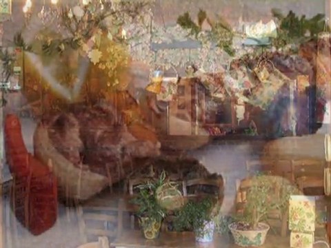 restaurant Gambrinus