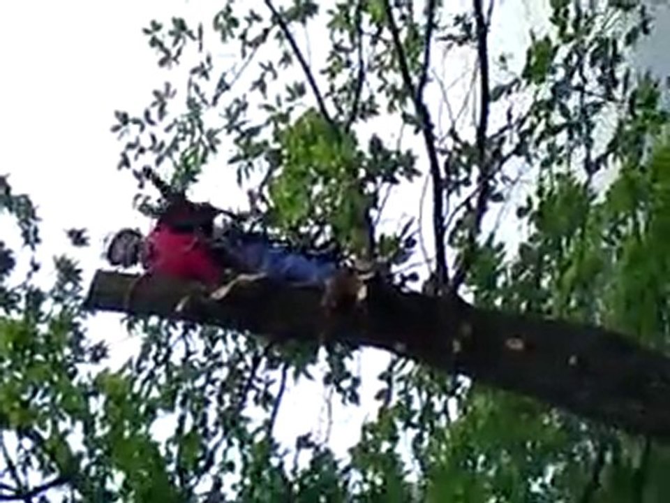 quelques chantiers
