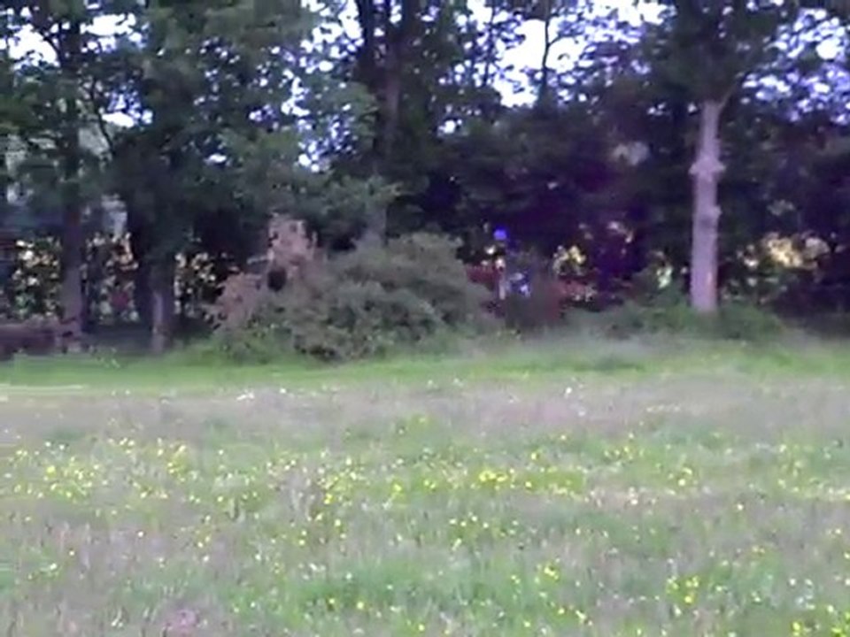 Sensuela: cross de son 1er CCE