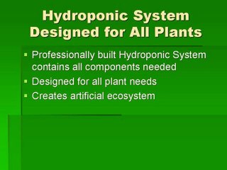 Hydroponic System: Why Choose to Grow in One Q&A