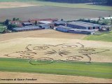 Crop Circle 13 June 2010 Torino Italy (Poirino)