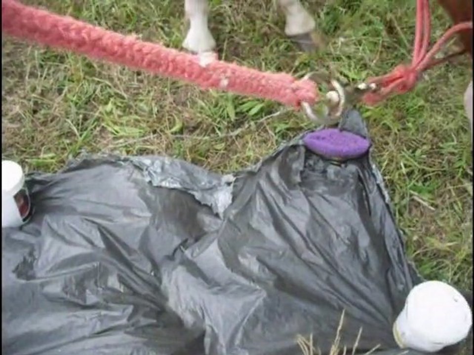 désensibilisation et pas espagnol :)