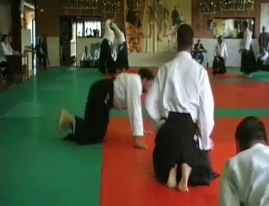 Aikido 2nd dan test