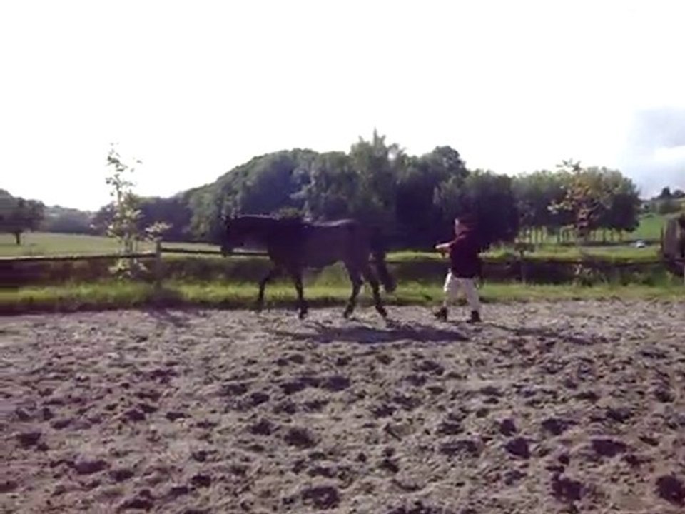 revision 14 juin 2010 034