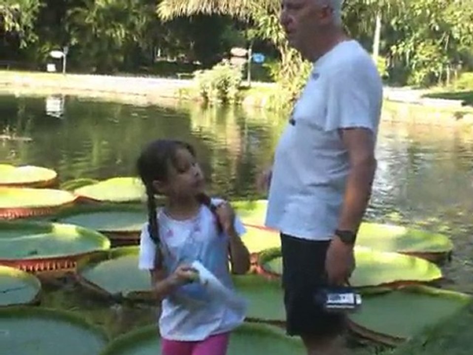 7.Park Botaniczny w RJ   Brasil