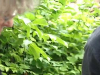 La pyramide de Vadim 4 ans à Bagneux