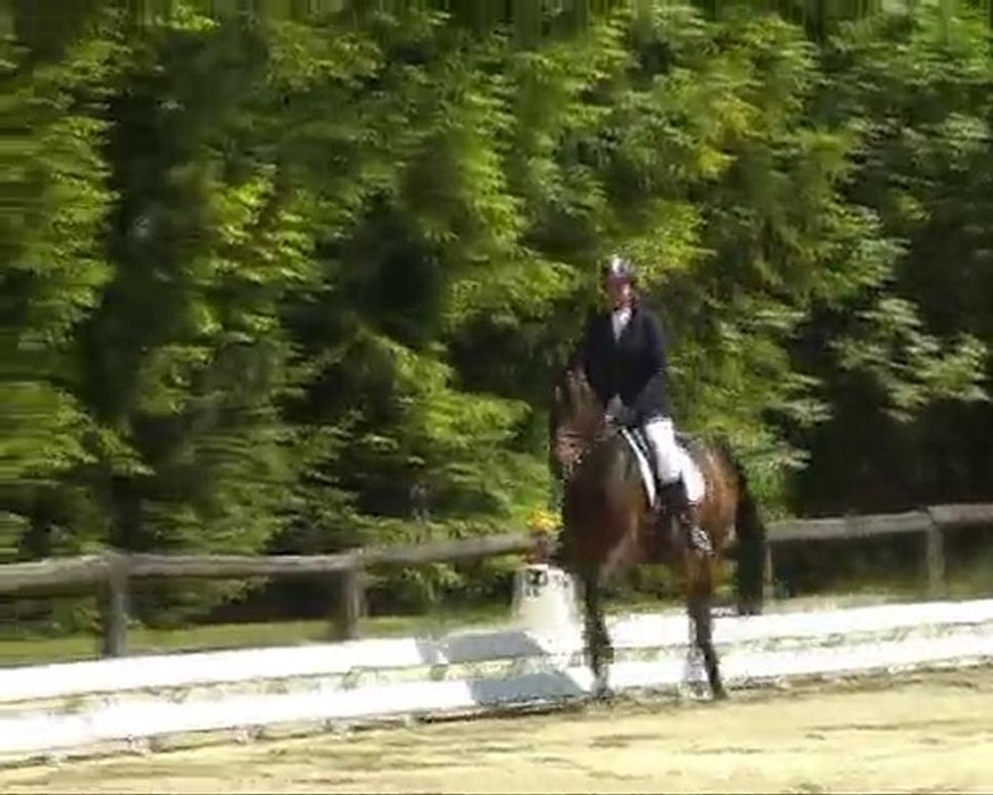 Einstein Z - Mai 2010